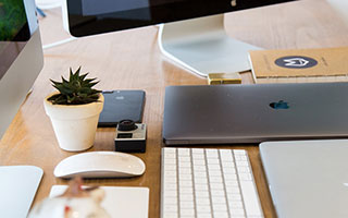 萍婆的功效与作用？苹婆功效与作用？