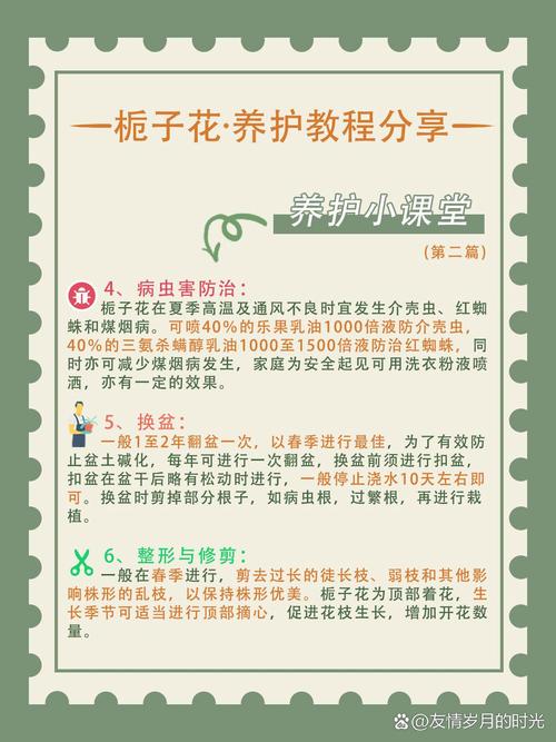 怎样养栀子花才长得好，怎样养栀子花才长得好视频？-第5张图片-优品飞百科