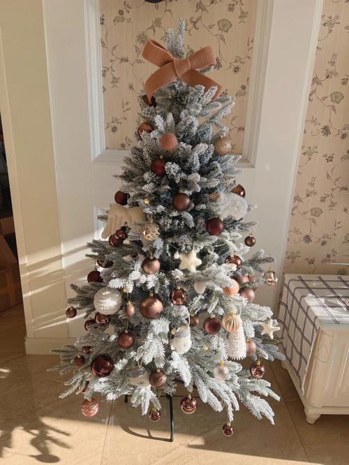 平安树第一次浇多少水，平安树第一次浇多少水比较好？