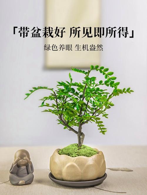 胡椒木怎么修剪，胡椒木耐修剪吗-第5张图片-优品飞百科