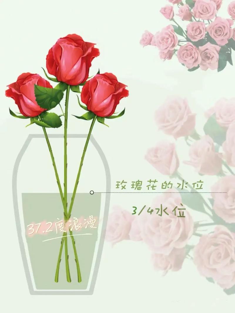 向日葵鲜花如何水养，向日葵用水养怎样才不烂-第5张图片-优品飞百科