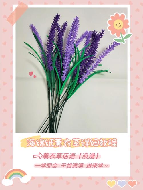 薰衣草什么时候施肥？薰衣草什么时候换盆？-第5张图片-优品飞百科