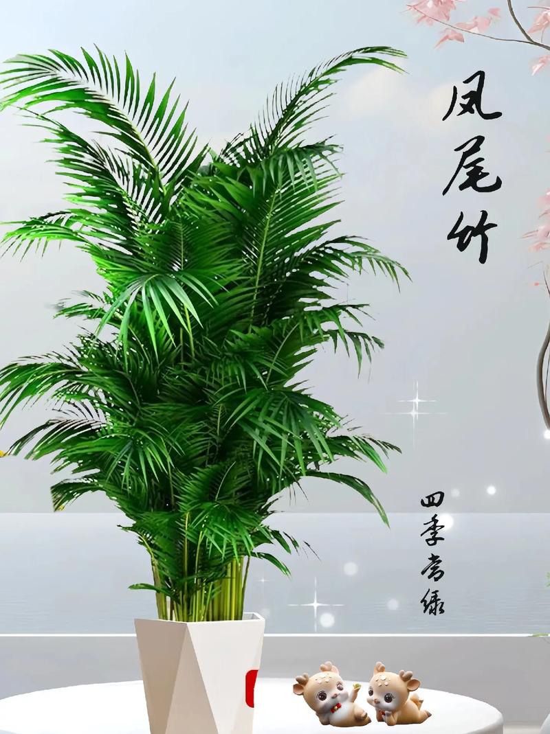 凤尾竹怎么繁殖，凤尾竹怎么繁殖视频？-第5张图片-优品飞百科