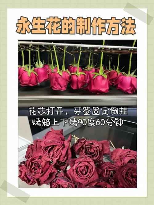 玫瑰怎么用水插活,玫瑰插在水里怎么生根-第4张图片-优品飞百科 玫瑰怎么用水插活,玫瑰插在水里怎么生根-第4张图片-优品飞百科