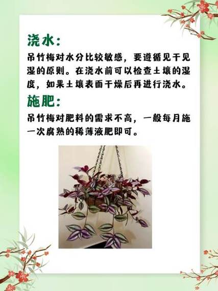 木兰花怎么养,木兰花怎么养殖方法和注意事项视频?-第2张图片-优品飞百科 木兰花怎么养,木兰花怎么养殖方法和注意事项视频?-第2张图片-优品飞百科