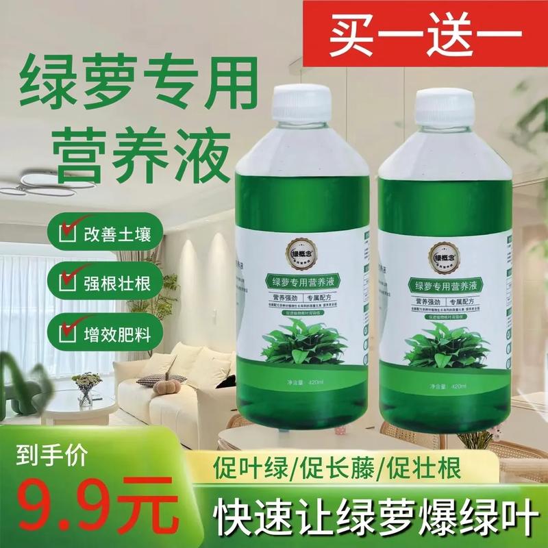 水培绿萝用什么肥?水培绿萝 施肥?-第2张图片-优品飞百科 水培绿萝用什么肥?水培绿萝 施肥?-第2张图片-优品飞百科