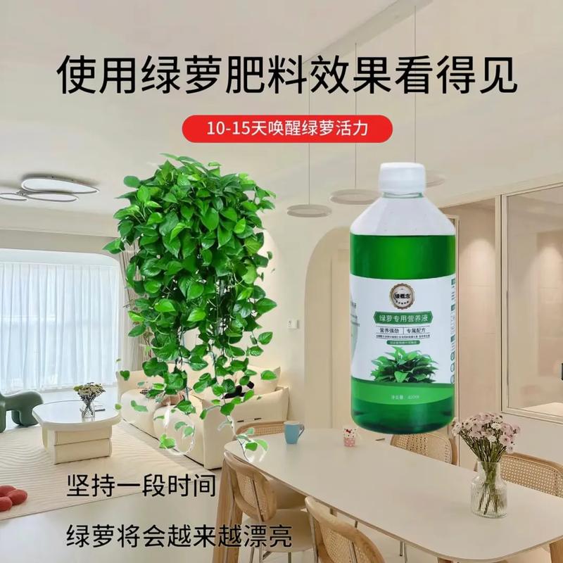 水培绿萝用什么肥?水培绿萝 施肥?-第3张图片-优品飞百科 水培绿萝用什么肥?水培绿萝 施肥?-第3张图片-优品飞百科