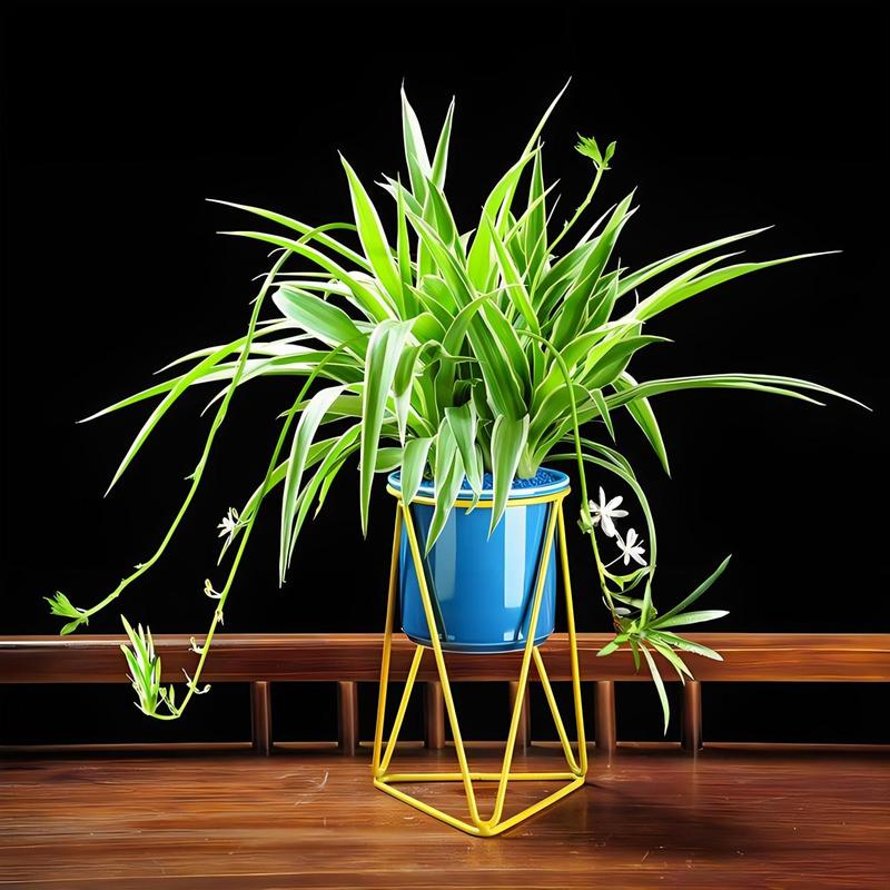 吊兰和兰花哪个好养，吊兰区别？