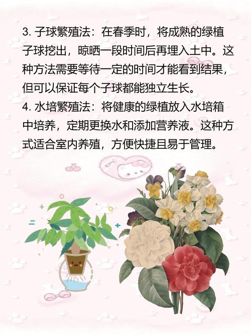 仙人指什么时候嫁接，仙人指头怎么嫁接-第3张图片-优品飞百科