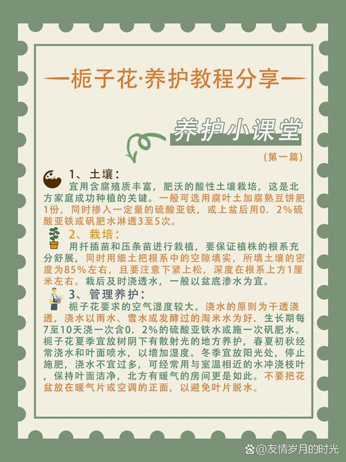 栀子花怎么养才能开花，栀子花怎么养才能开花更久？-第6张图片-优品飞百科