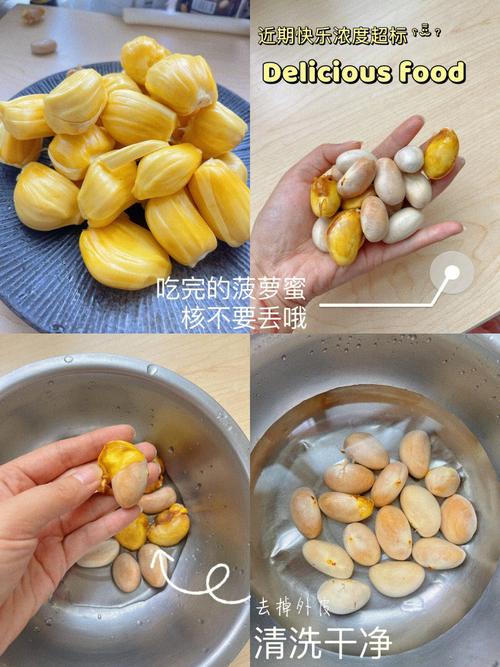 菠萝蜜的核怎么种盆栽，菠萝蜜的核能种吗?怎么种-第7张图片-优品飞百科