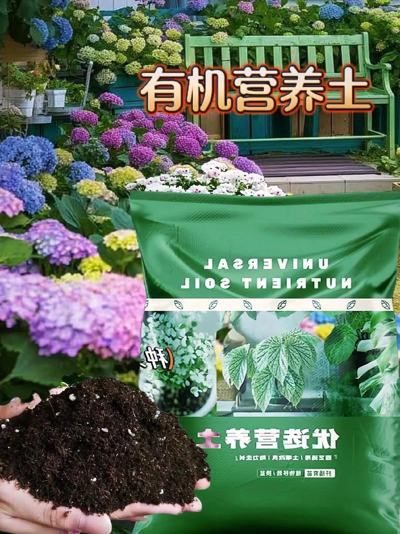 浇花掺点小东西？浇花时水里放点什么药好？-第1张图片-优品飞百科
