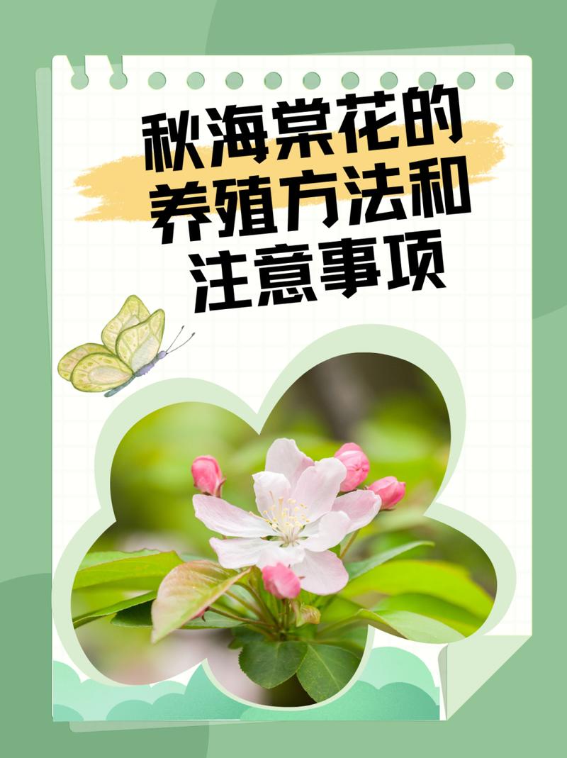 海棠花的养殖方法，虎皮海棠花的养殖方法-第6张图片-优品飞百科
