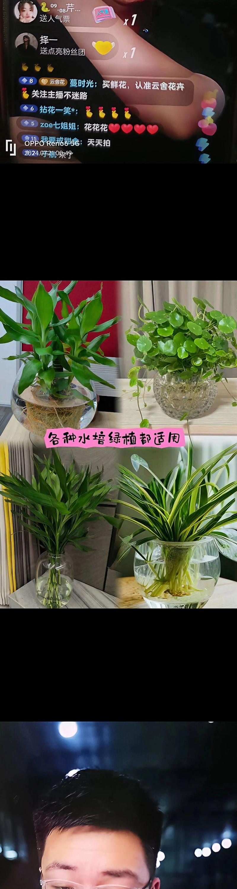 富贵竹用什么肥料，富贵竹用什么肥料养才旺盛？-第5张图片-优品飞百科