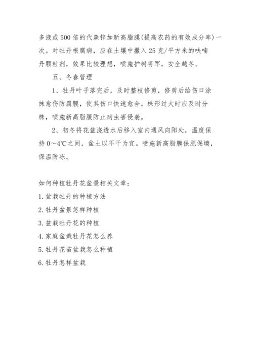 怎么种植牡丹花，牡丹花种植时间？-第8张图片-优品飞百科