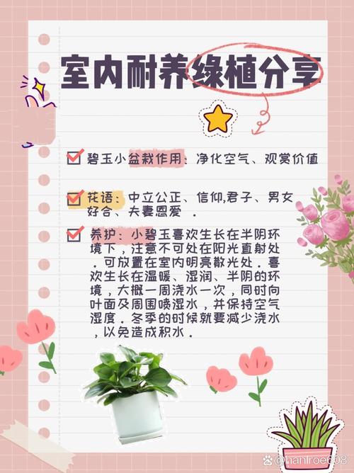 绿萼怎么养长的好，绿萼是什么花？-第6张图片-优品飞百科