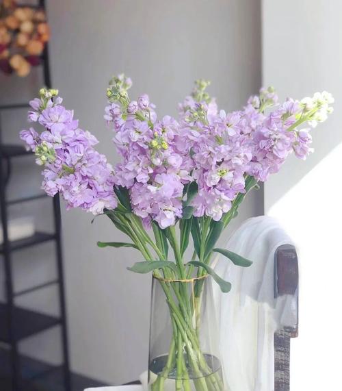 紫罗兰如何插瓶,紫罗兰插瓶需要剪根吗?-第2张图片-优品飞百科 紫罗兰如何插瓶,紫罗兰插瓶需要剪根吗?-第2张图片-优品飞百科