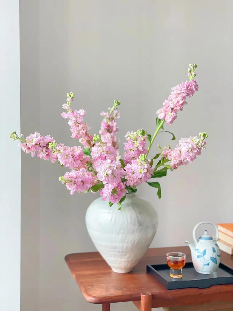 紫罗兰如何插瓶,紫罗兰插瓶需要剪根吗?-第7张图片-优品飞百科 紫罗兰如何插瓶,紫罗兰插瓶需要剪根吗?-第7张图片-优品飞百科