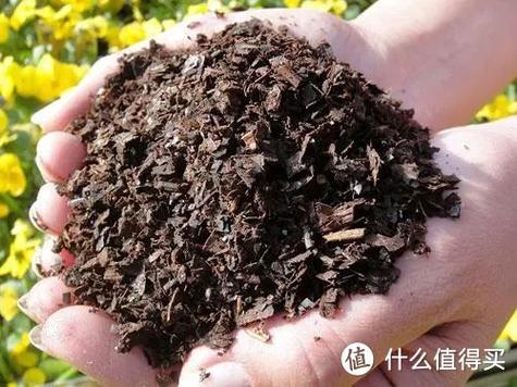夏天过完只剩空盆了的简单介绍-第5张图片-优品飞百科