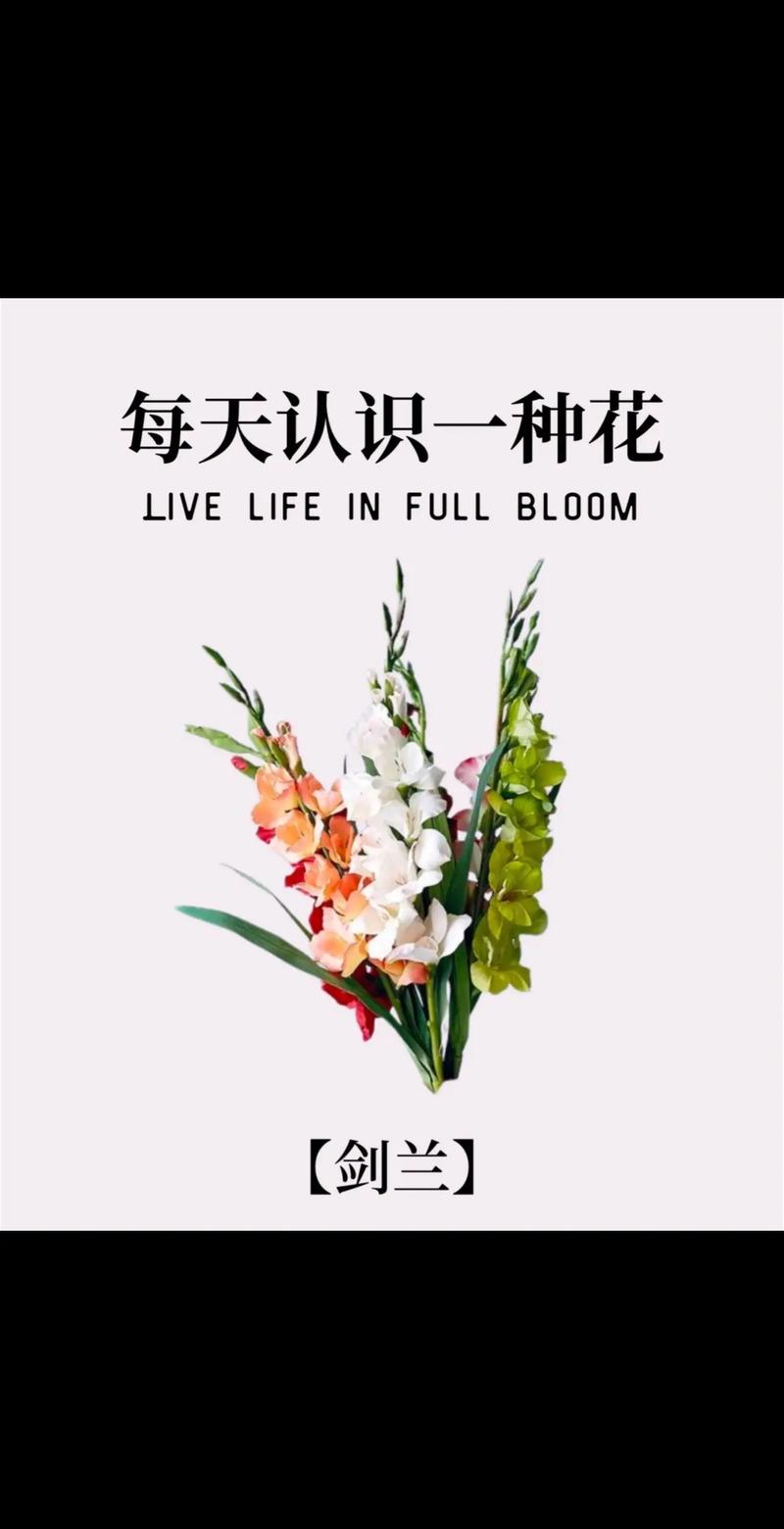 玉蝉花的种植方法,玉蝉花是水生植物吗?-第2张图片-优品飞百科 玉蝉花的种植方法,玉蝉花是水生植物吗?-第2张图片-优品飞百科