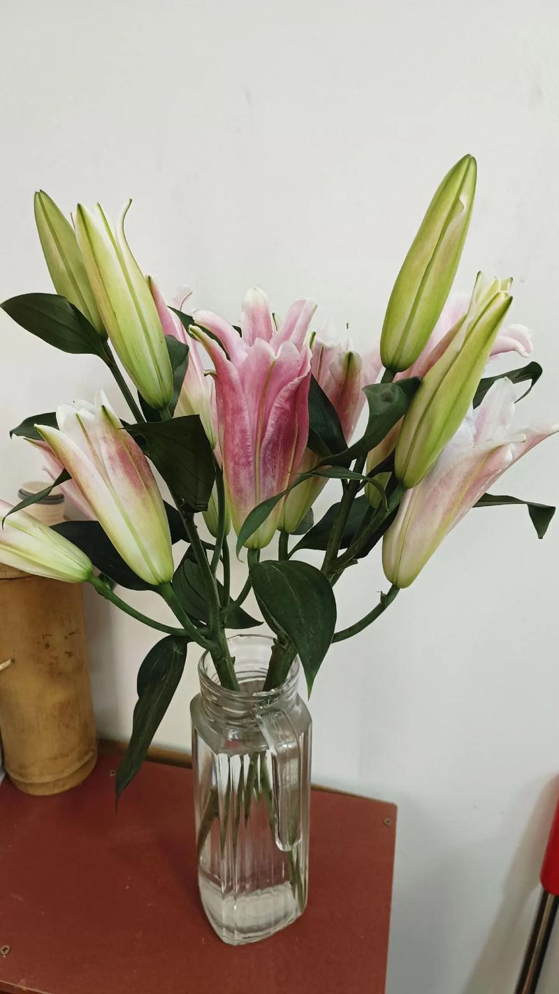 百合花怎么养殖，百合花怎么养殖方法和注意事项视频？-第3张图片-优品飞百科