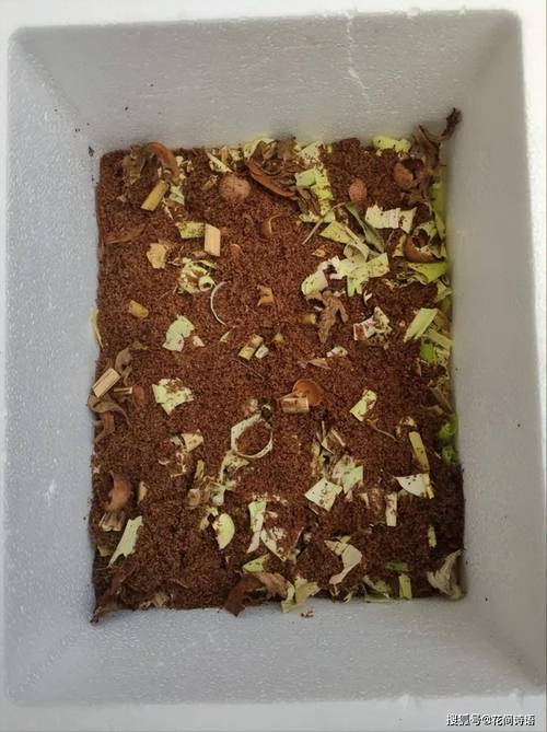 花肥不如这种“废料”，花肥有用吗
