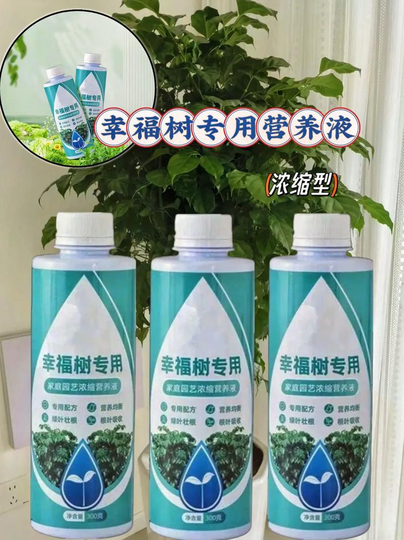 花肥不如这种“废料”，花肥有用吗-第2张图片-优品飞百科
