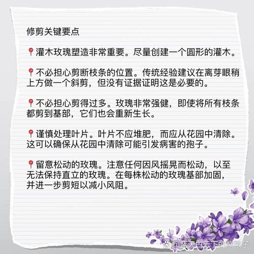 玫瑰花修剪方法及技术,玫瑰花修剪方法图解春天?-第6张图片-优品飞百科 玫瑰花修剪方法及技术,玫瑰花修剪方法图解春天?-第6张图片-优品飞百科