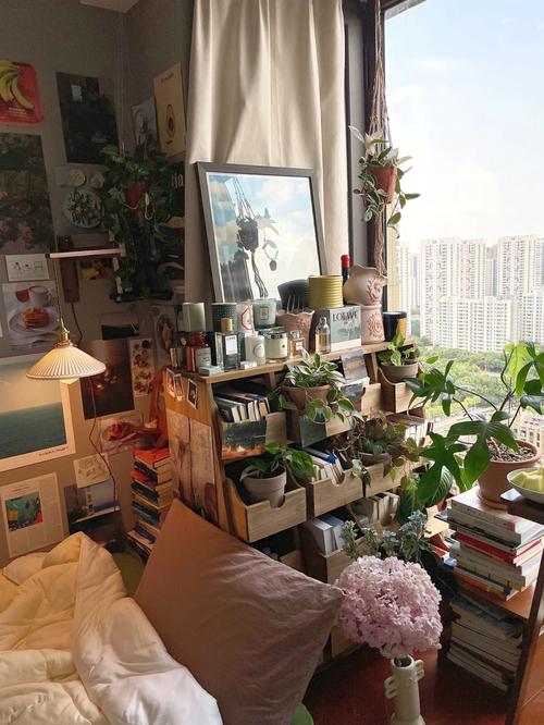 碧雷鼓怎么换盆，碧雷鼓的寓意？