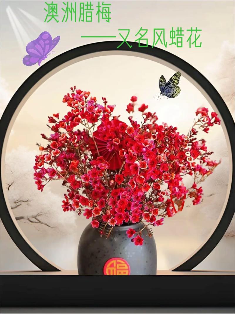 梅花可以扦插繁殖吗，梅花可以扦插繁殖吗图片？-第4张图片-优品飞百科