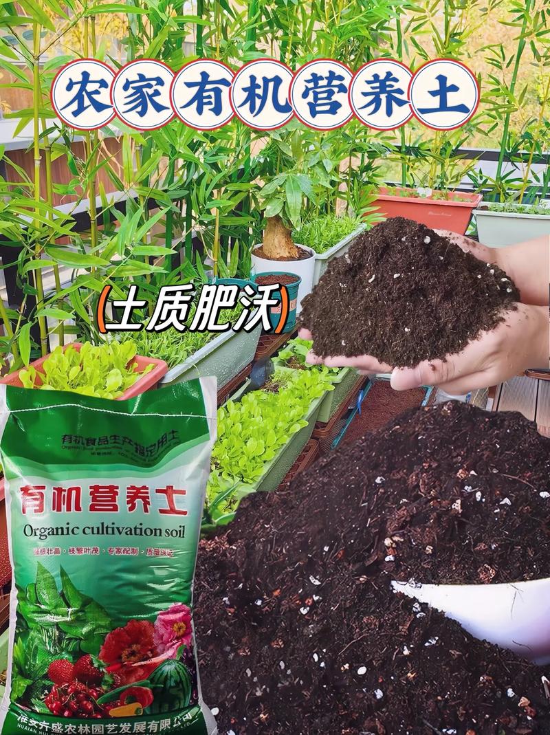 大爷养花爱刨土，爱养花的王大爷？