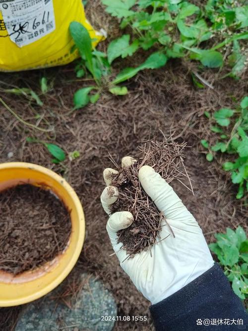 大爷养花爱刨土，爱养花的王大爷？-第2张图片-优品飞百科