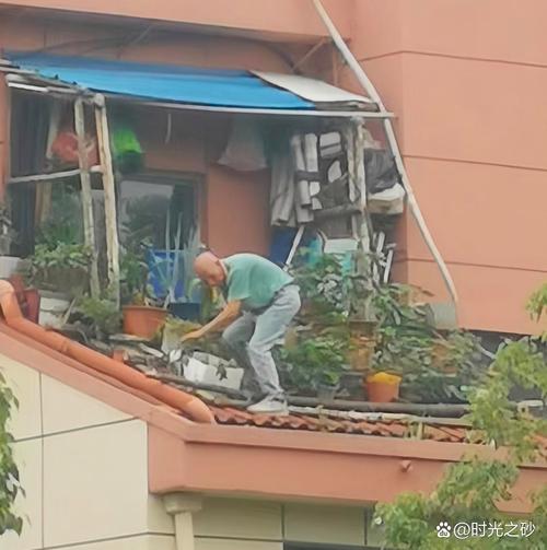 大爷养花爱刨土，爱养花的王大爷？-第3张图片-优品飞百科