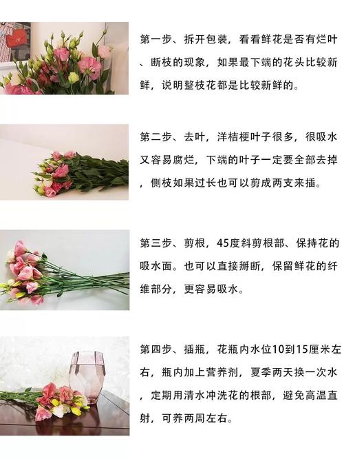 玫瑰洋桔梗···鲜花也能扦插？洋桔梗 玫瑰？-第2张图片-优品飞百科