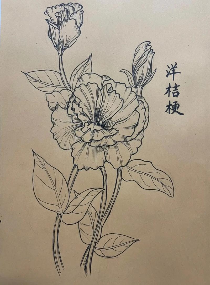 玫瑰洋桔梗···鲜花也能扦插？洋桔梗 玫瑰？-第7张图片-优品飞百科