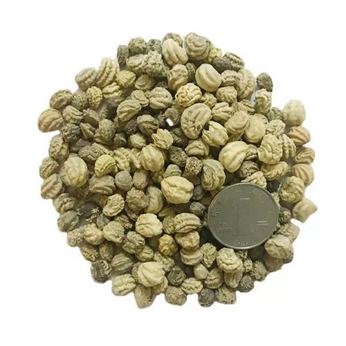 金莲花种子怎么种，金莲花种子怎么种植视频-第2张图片-优品飞百科