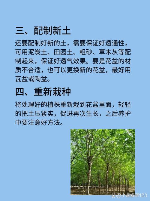 亚蜡木浇水方法,哑光木蜡油工艺?-第5张图片-优品飞百科 亚蜡木浇水方法,哑光木蜡油工艺?-第5张图片-优品飞百科