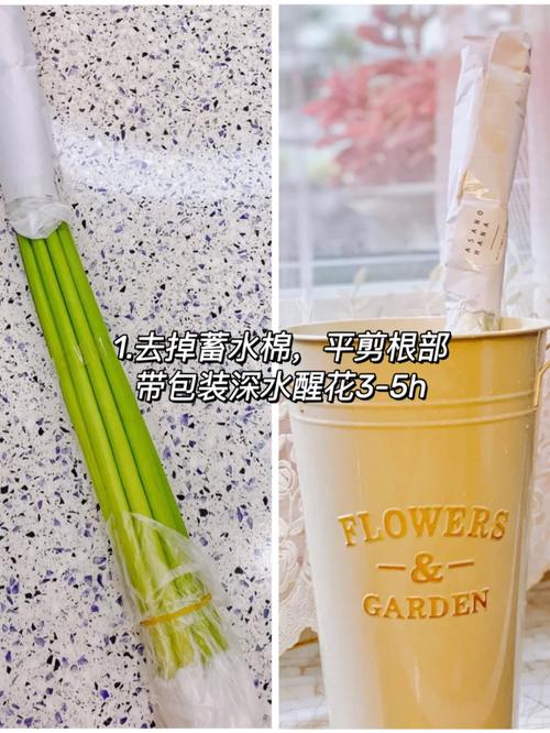 马蹄莲怎么养，马蹄莲怎么养家庭养法？-第5张图片-优品飞百科