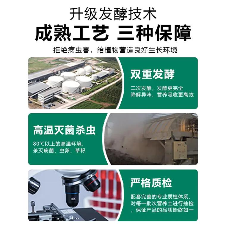 文竹适合用什么泥土,文竹该用什么土-第3张图片-优品飞百科 文竹适合用什么泥土,文竹该用什么土-第3张图片-优品飞百科