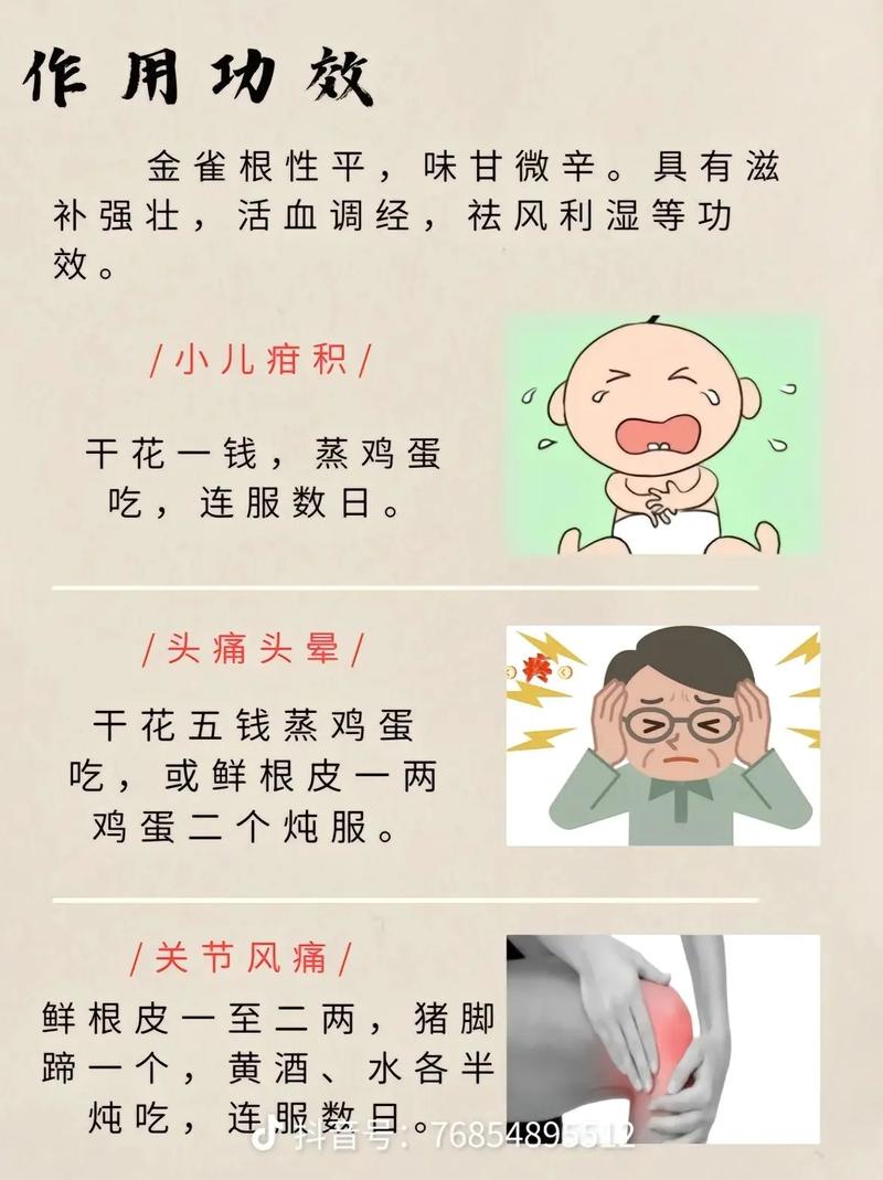 金雀儿怎么养，金雀儿可以放室内养吗-第5张图片-优品飞百科