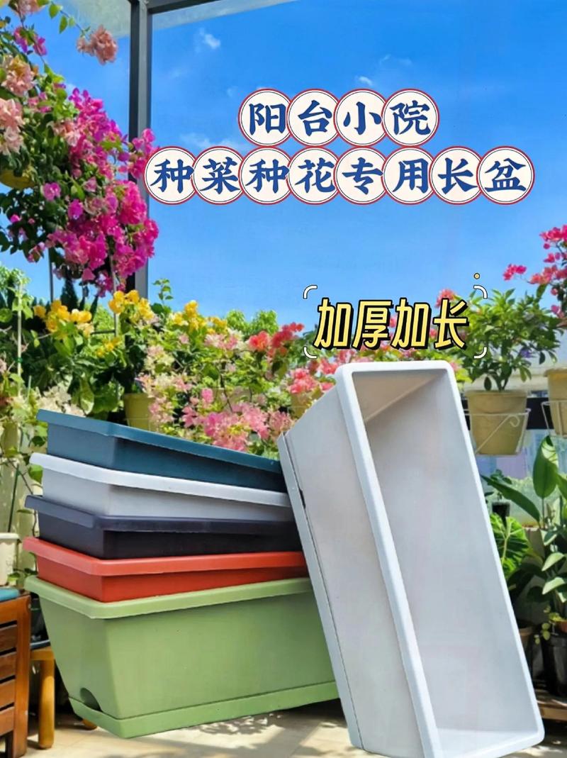 包含奶奶扦插不用土的词条