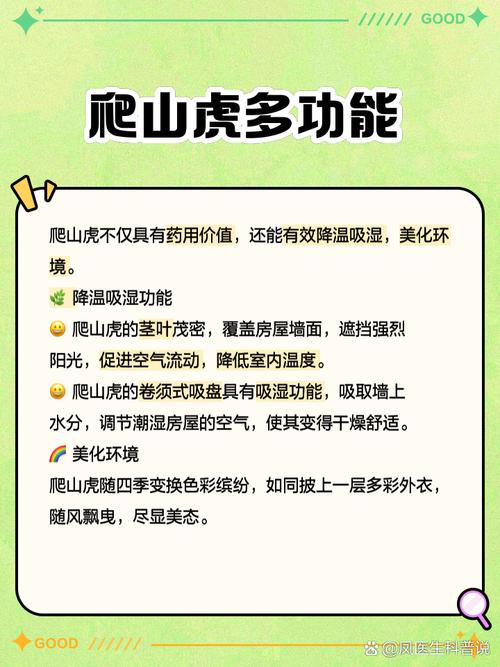 新买的爬山虎怎么养,爬山虎怎么养能活-第2张图片-优品飞百科 新买的爬山虎怎么养,爬山虎怎么养能活-第2张图片-优品飞百科