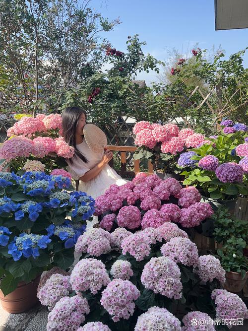 长春花换盆注意事项？长春花换盆注意事项有哪些？-第2张图片-优品飞百科