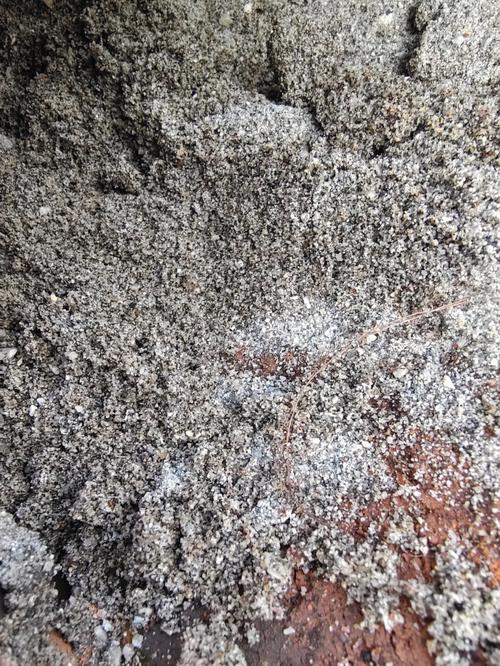 养多肉沙子和土的比例，养多肉沙子和土的比例多少合适？-第4张图片-优品飞百科