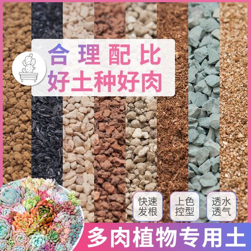 养多肉沙子和土的比例，养多肉沙子和土的比例多少合适？-第6张图片-优品飞百科