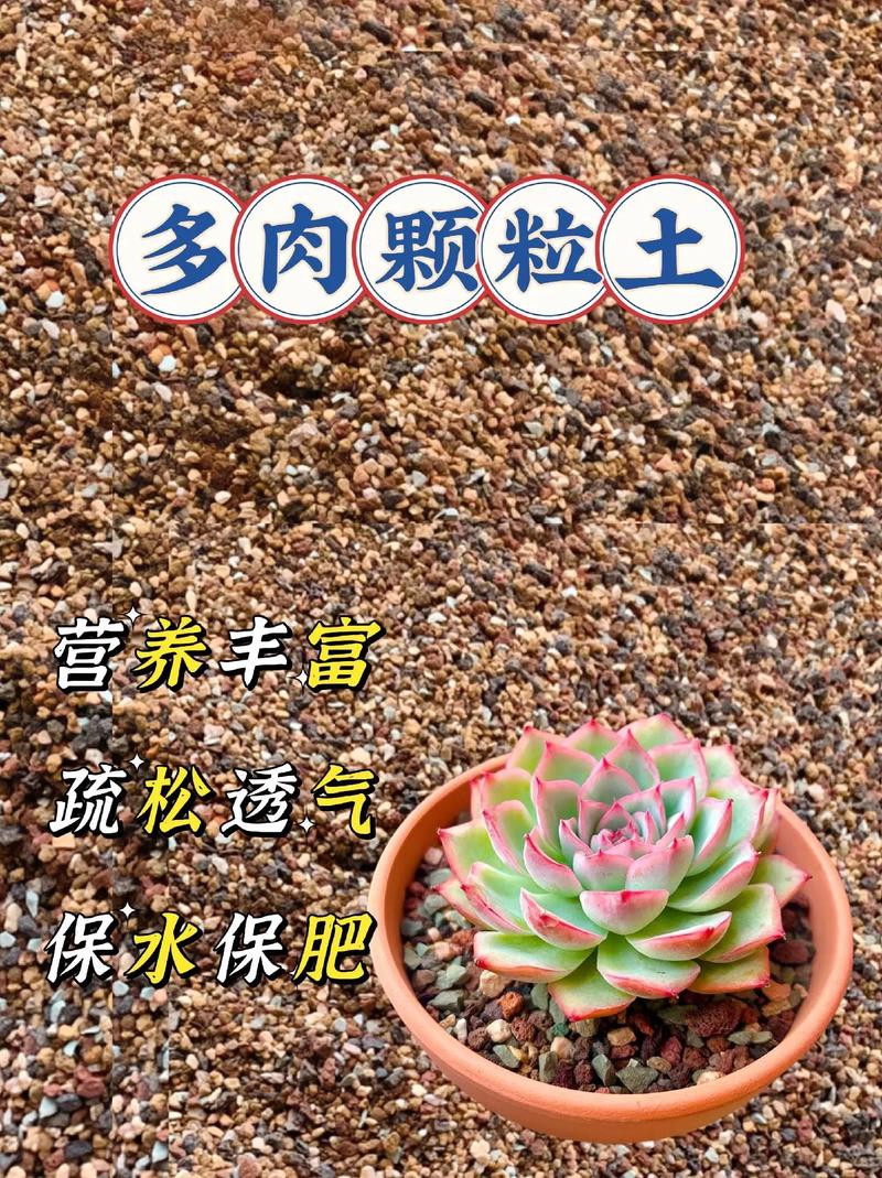 养多肉沙子和土的比例，养多肉沙子和土的比例多少合适？-第7张图片-优品飞百科