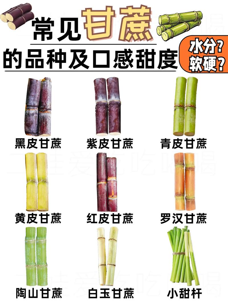 甘蔗什么时候成熟，甘蔗什么时候成熟可以收？-第3张图片-优品飞百科