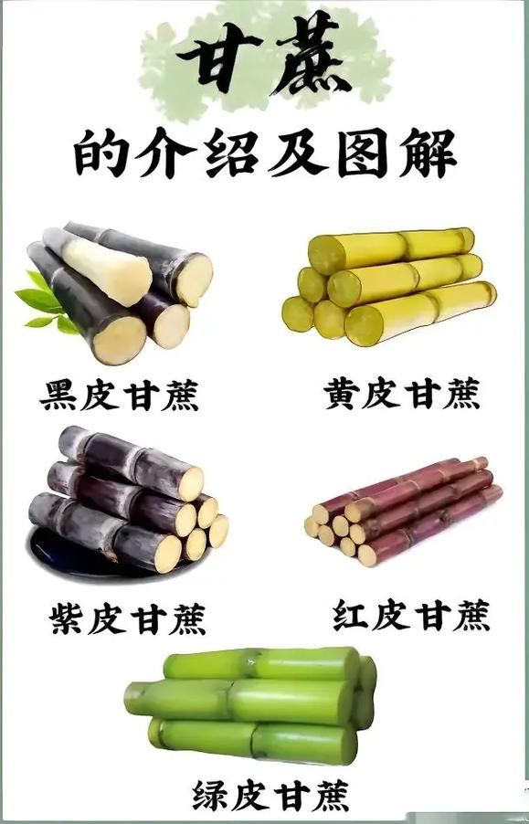 甘蔗什么时候成熟，甘蔗什么时候成熟可以收？-第5张图片-优品飞百科