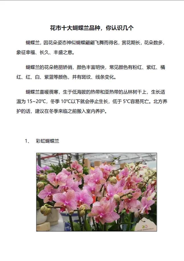 蝴蝶兰的养殖方法和注意事项，家养蝴蝶兰的养殖方法和注意事项-第2张图片-优品飞百科