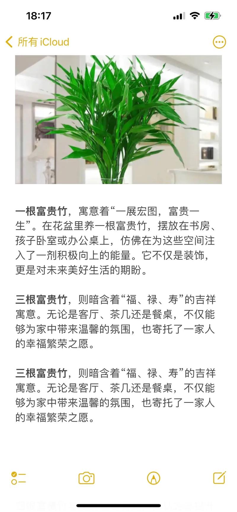 富贵竹的种植方法,富贵竹的种植方法和过程-第2张图片-优品飞百科 富贵竹的种植方法,富贵竹的种植方法和过程-第2张图片-优品飞百科